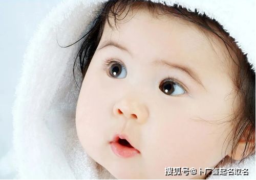 起个有品质又高雅的好名字,让宝宝一生受益