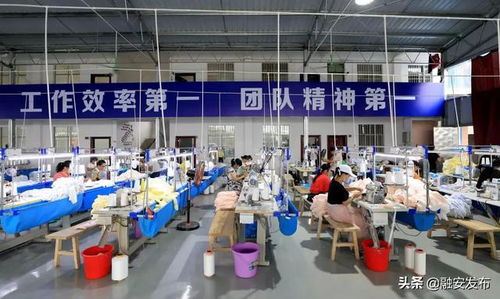 山海呼应 一竹一企一园 带动群众增收脱贫