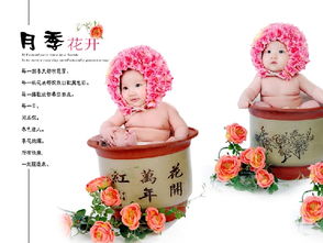 好宝贝影像加盟 好宝贝影像加盟多少钱 好宝贝影像连锁加盟店