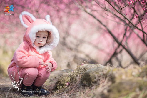 拍娃党 kidsfoto 微信公众号 ikidsfoto 枫糖盒子 儿童摄影 儿童摄影 修图